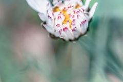 encuentros